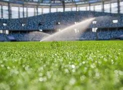 帕利尼亚击,中立柱,凯恩补射助,赢彩网,彩票平台,彩票投注,数据分析,精准预测