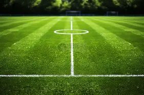 岩石萨穆埃,岁生日欢庆,坚城常在,赢彩网,彩票平台,彩票投注,数据分析,精准预测