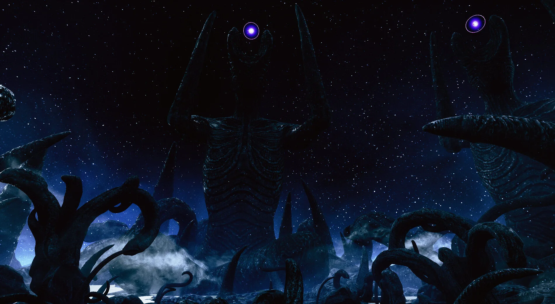 杜埃,无论场次,倾力投入,赢彩网,彩票平台,彩票投注,数据分析,精准预测