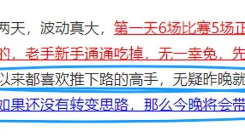 荷兰队世界杯近7战6胜，摩洛哥队对决前瞻：世界杯赛事深度解析指南
