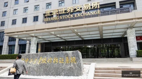 荣耀电竞手机，赢彩网，发布，英雄联盟联动来袭